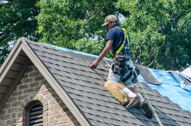 Best Storm Damage Roof Repair  in Wayne Heights, PA